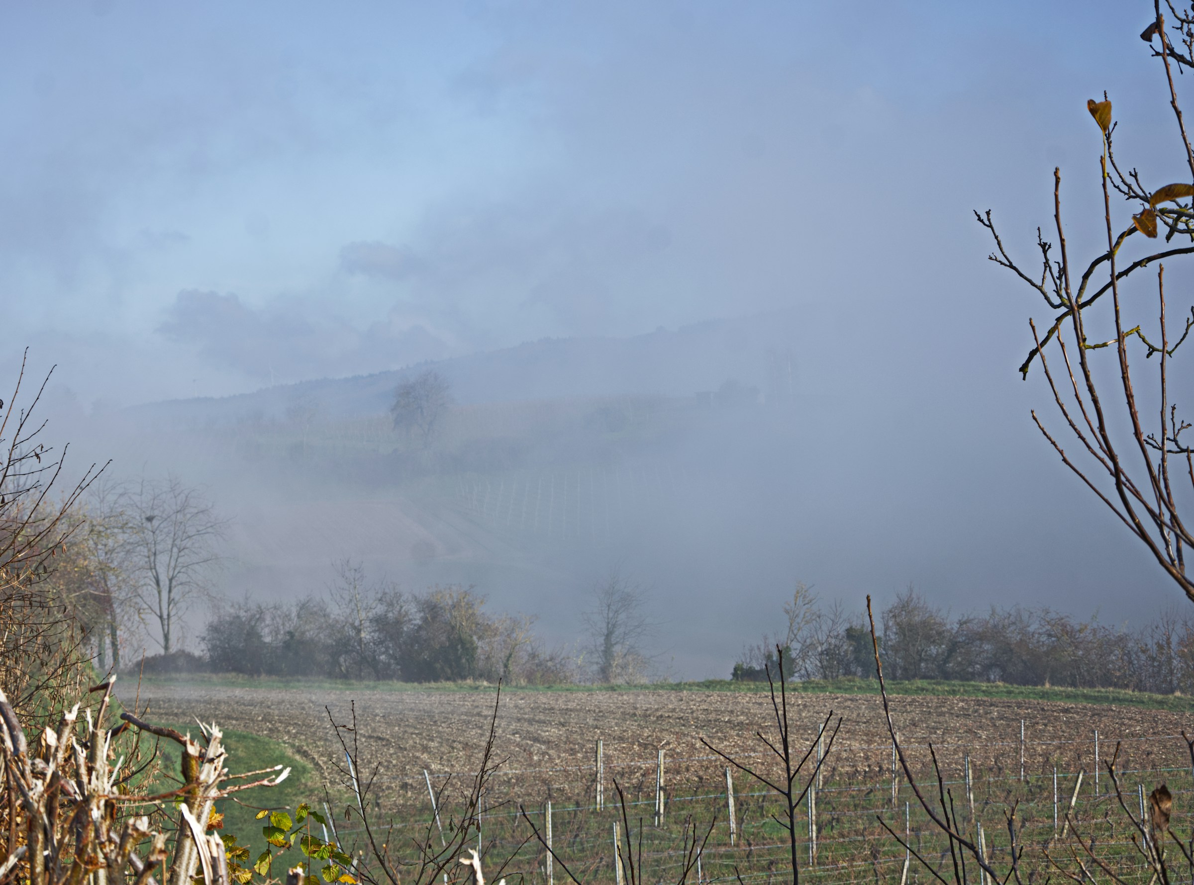 Ochtendmist tussen de Piemontese heuvels