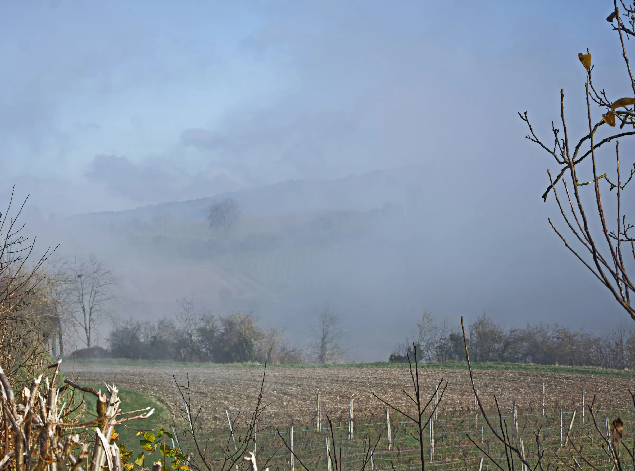 Ochtendmist tussen de Piemontese heuvels